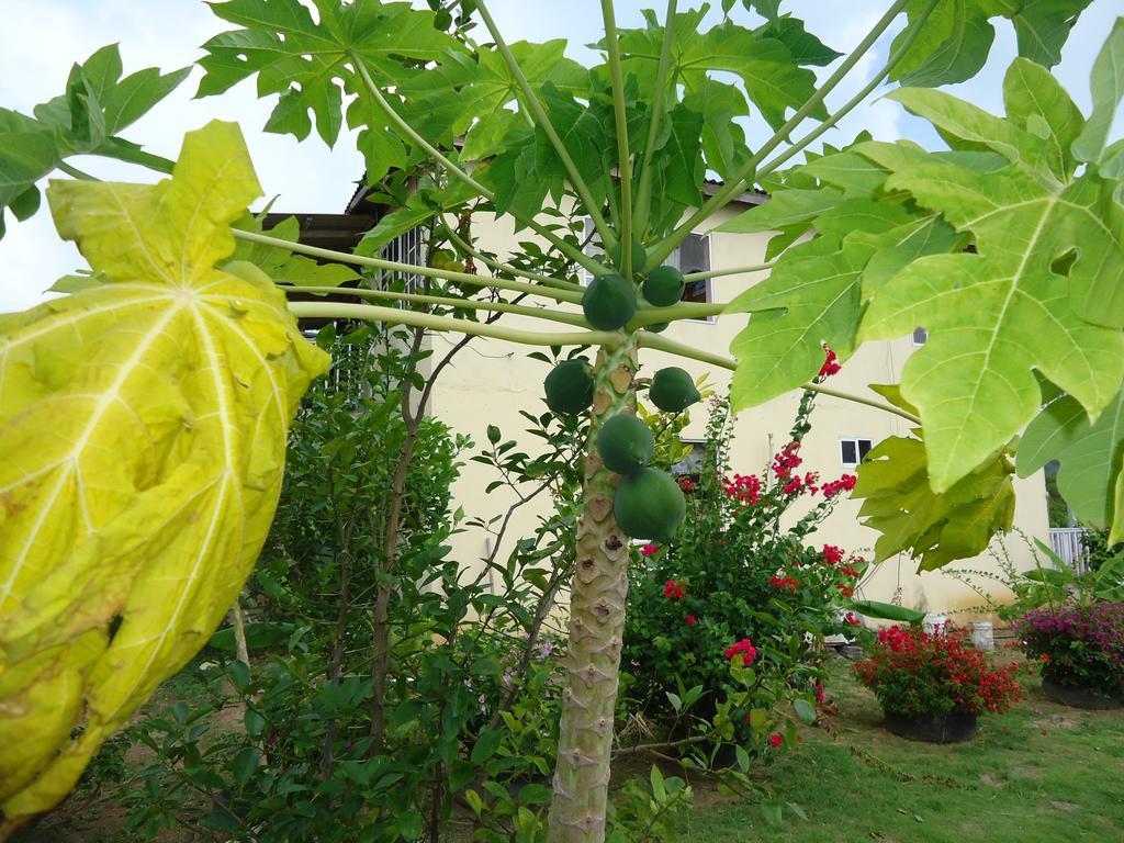 Posada Sunshine Paradise Providencia Island Exterior photo