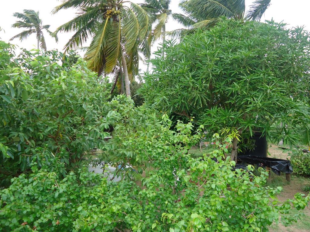 Posada Sunshine Paradise Providencia Island Exterior photo