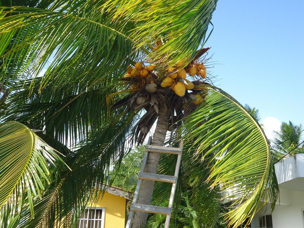 Posada Sunshine Paradise Providencia Island Exterior photo